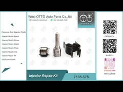 7135-575 bec L363PRD de VW 1.2L de Delphi Injector Repair Kit For 28231462