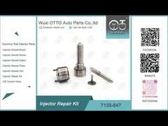7135-647 Delphi Injector Repair Kit For 28232248 avec le bec L120PBD
