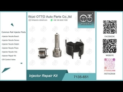 7135-651 Delphi Injector Repair Kit For R02201Z avec le bec L121PBD