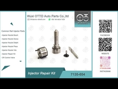7135-654 Delphi Injector Repair Kit R00501Z avec le bec L456PRD