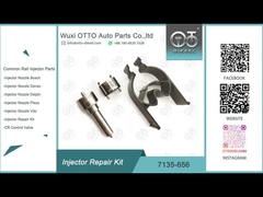 7135-656 Delphi Injector Repair Kit For R00504Z avec le bec L135PBD