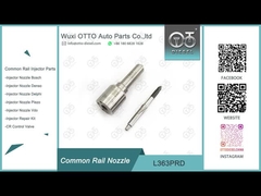 VW 1.2L des injecteurs 28231462 de L363PRD Delphi Common Rail Nozzle For