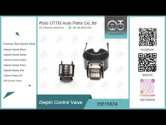 Soupape de commande commune du rail 28615824 pour Delphi Common Rail Injectors R00001D/28307309