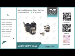 28239294 soupape de commande d'injecteur Delphi pour injecteurs Delphi EJBR02401Z/02901D etc.
