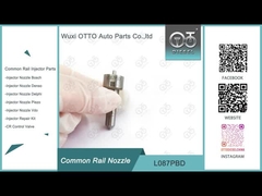 L087PBD Buse commune Delphi pour injecteurs EJBR01401Z / EJBR01701Z