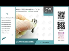 L137PBD Buse commune Delphi pour injecteurs EJBR02401Z / 02901D