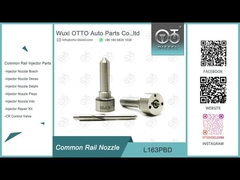 Injecteurs EJBR03301D de L163PBD Delphi Common Rail Nozzle For