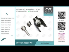 Kit de réparation de l'injecteur de rail commun de Delphi pour injecteurs R052