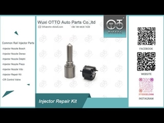 Kit de réparation de l'injecteur Delphi 7135-816