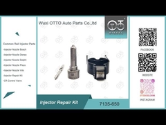 Kit de réparation des vannes à buse 7135 - 650 Delphi Injector Kit pour les injecteurs DELPHI R04701D