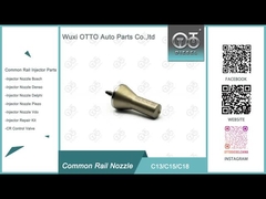 Nouvelle buse d'injecteur C13/C15/C18 Pour buse d'injecteur de chenille