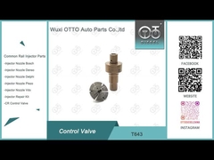 T643 Ventilateur de commande de chemin de fer commun Appliqué 0445110819/818/939