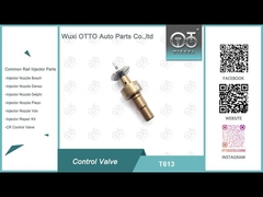 T613 Valve de commande Bosch Common Rail appliqué 0445110551