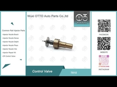 Ventilateur à rail commun Bosch T615 pour injecteur 0445110522 523