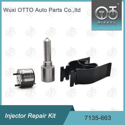 7135-663 Kit de réparation des injecteurs Delphi