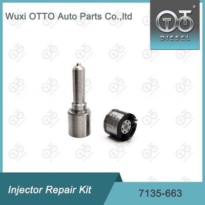 7135-663 Kit de réparation des injecteurs Delphi