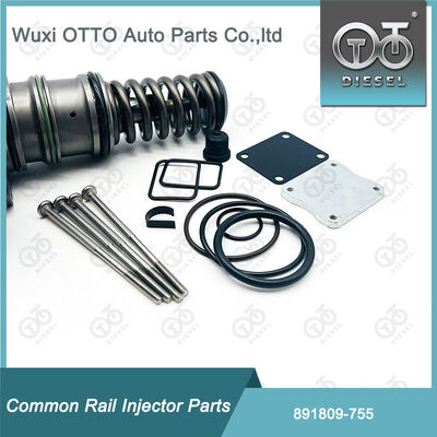 Kit de réparation de la pompe à carburant diesel 891809-755 pour la pompe Bosch-Unit 755