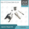 7135-573 Kit de réparation d'injecteur Delphi Pour les injecteurs