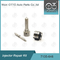 7135-646 Kit de réparation de l'injecteur Delphi Pour l'injecteur 28232251 / R03101D / R05102D