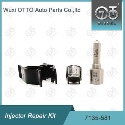 Le kit de réparation de l'injecteur  7135-581 pour R00101D PSA FORD DW10C