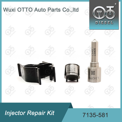 Kit de réparation de l'injecteur Delphi 7135-581 pour le kit PSA / FORD DW10C