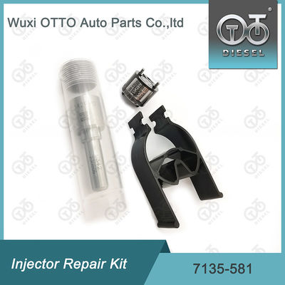 Le kit de réparation de l'injecteur  7135-581 pour R00101D PSA FORD DW10C
