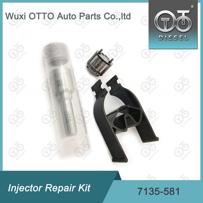 Kit de réparation de l'injecteur Delphi 7135-581 pour le kit PSA / FORD DW10C