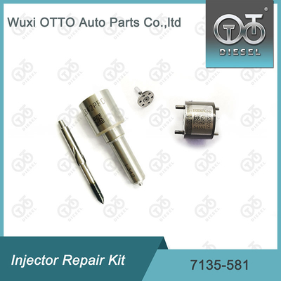Kit de réparation de l'injecteur Delphi 7135-581 pour le kit PSA / FORD DW10C