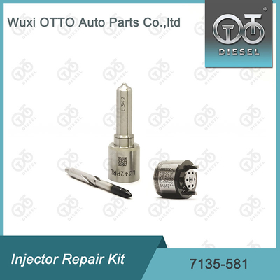 Kit de réparation de l'injecteur Delphi 7135-581 pour le kit PSA / FORD DW10C
