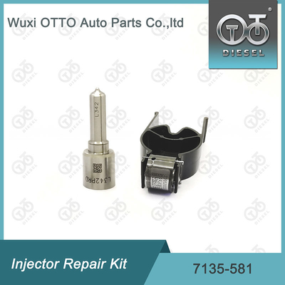 Kit de réparation de l'injecteur Delphi 7135-581 pour le kit PSA / FORD DW10C