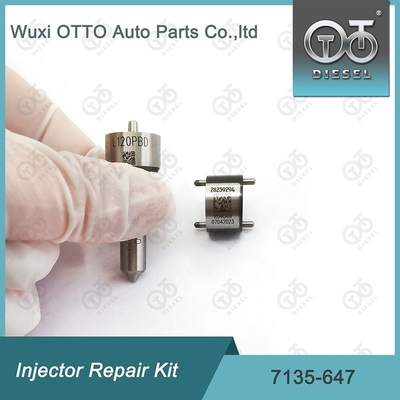 Kit de réparation de l'injecteur Delphi pour 28232248 avec buse L120PBD