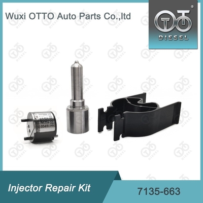 7135-663 Kit de réparation des injecteurs Delphi