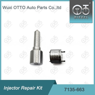7135-663 Kit de réparation des injecteurs Delphi