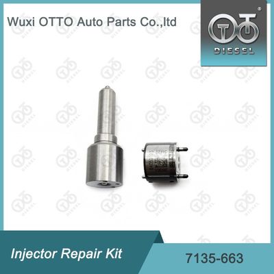 7135-663 Kit de réparation des injecteurs