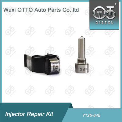 Kit de réparation de l'injecteur de rail commun pour injecteurs R05201D