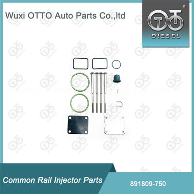 Kit de réparation d'injecteurs de carburant 891809-750 pour 750 pompes à cylindre unique Bosch