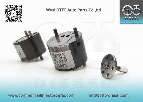 Pour l'injecteur R00101D