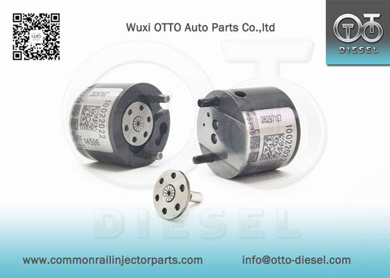 Pour l'injecteur R00101D