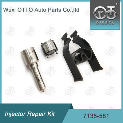 Kit de réparation de l'injecteur Delphi 7135-581 pour le kit PSA / FORD DW10C